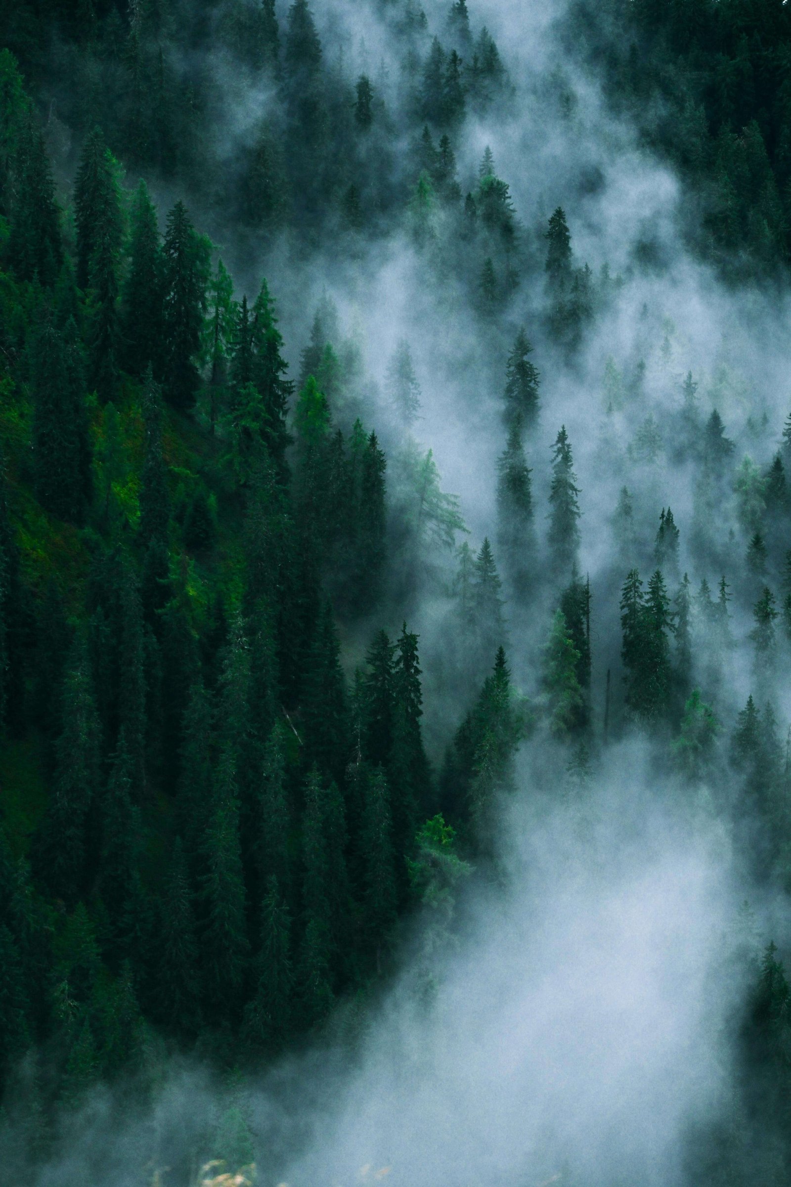 EcoRise Zlatibor