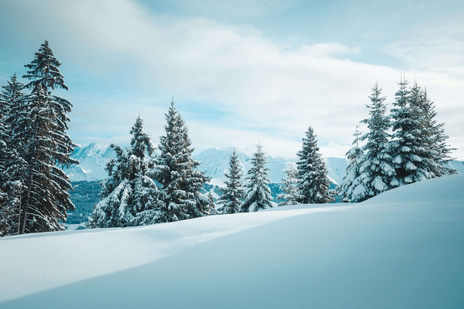 SportKonf — Zlatibor